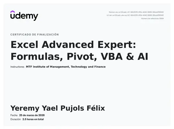 Excel Advanced Expert