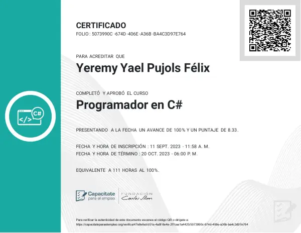 C# Programmer