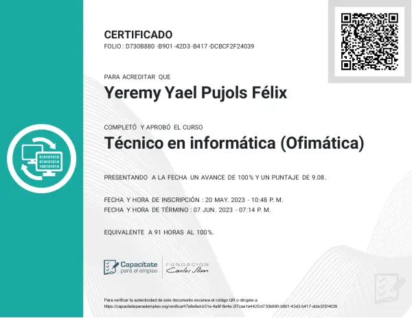 Computer Technician in Office Automation